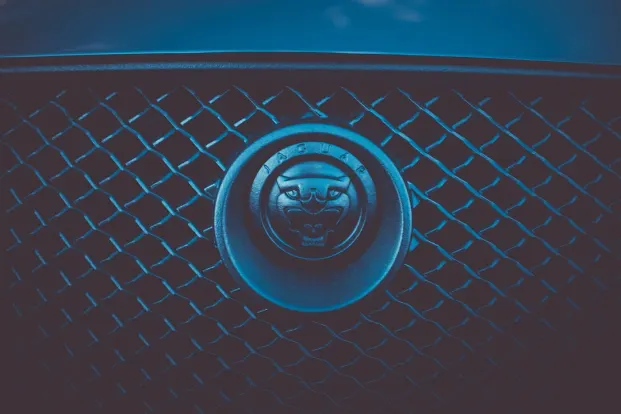 كليوباترا كازينو تطبيق أندرويد/آي أو إس